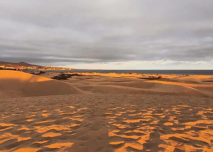 Golden Solymar *