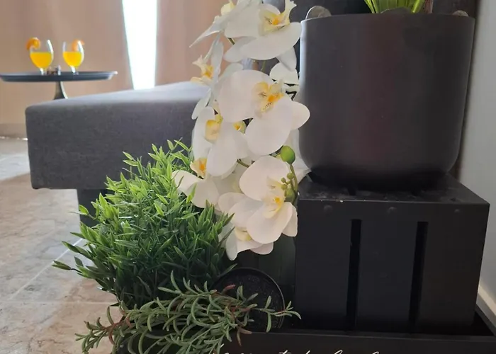 Golden Solymar شقة *