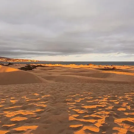Golden Solymar *