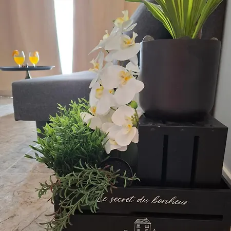 Golden Solymar Apartment *